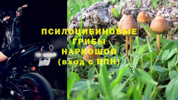 ГАЛЛЮЦИНОГЕННЫЕ ГРИБЫ Горнозаводск