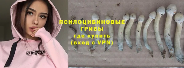 Альфа ПВП Горно-Алтайск