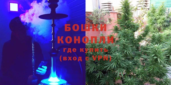 ГАЛЛЮЦИНОГЕННЫЕ ГРИБЫ Горнозаводск