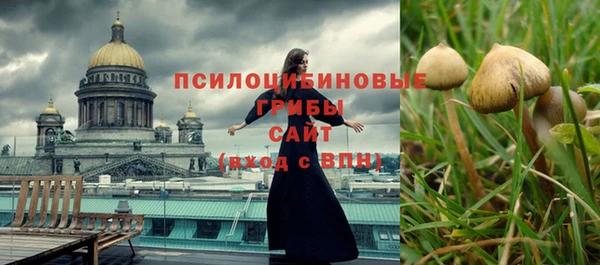 Альфа ПВП Горно-Алтайск