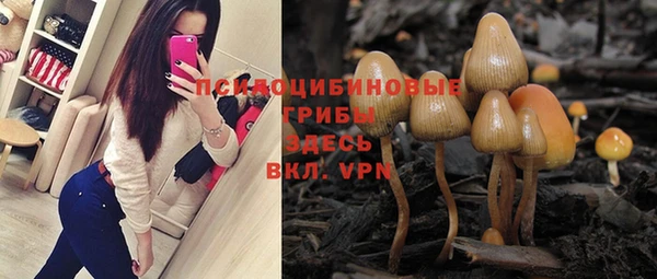 ALPHA-PVP Горняк