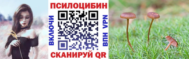 Псилоцибиновые грибы Psilocybe  дарк нет Telegram  Сибай  купить  